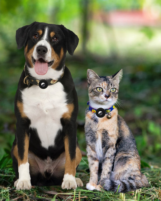 Airtag case – Pets